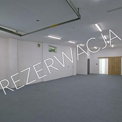 zdjecie
