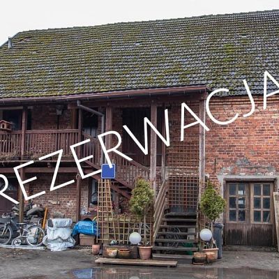 zdjecie
