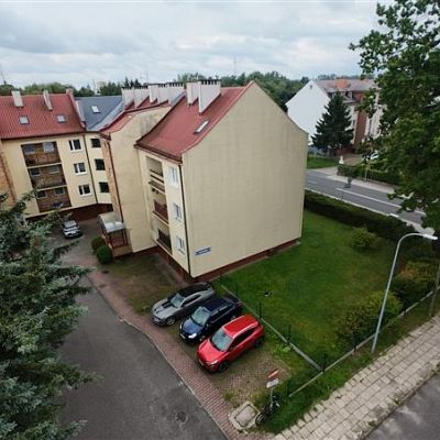 zdjecie