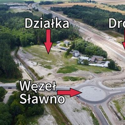zdjecie