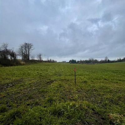 SPRZEDAŻ na DZIAŁKA w Łekno