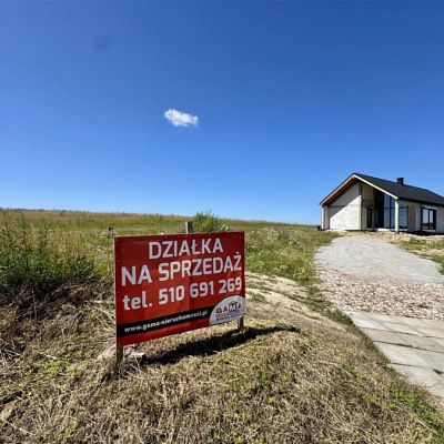 zdjecie