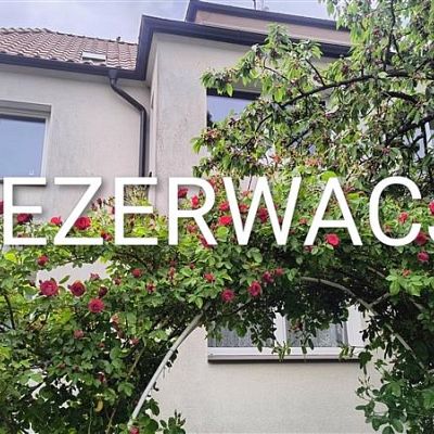 zdjecie