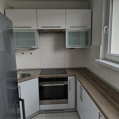 zdjecie