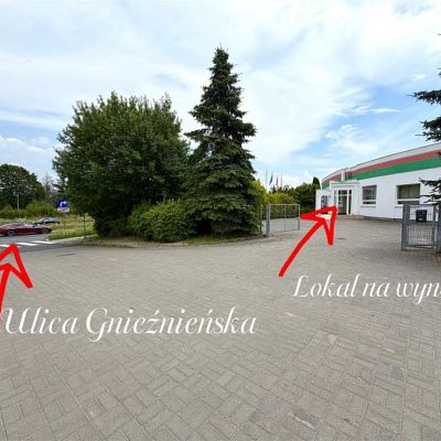 zdjecie