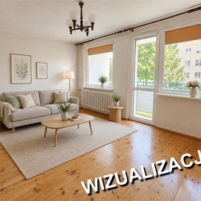 zdjecie