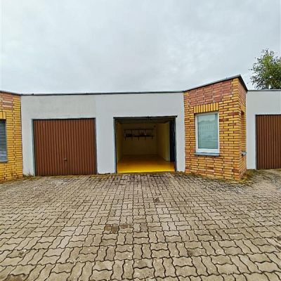 zdjecie