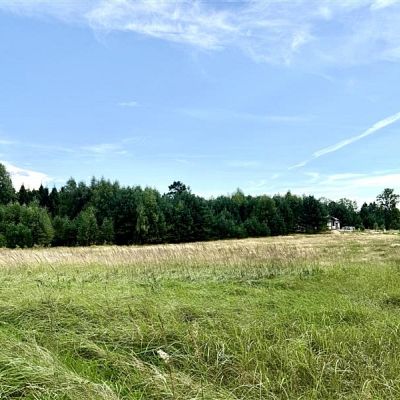 SPRZEDAŻ na DZIAŁKA w Stepień